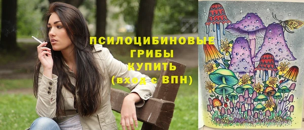 не бодяженный Богданович