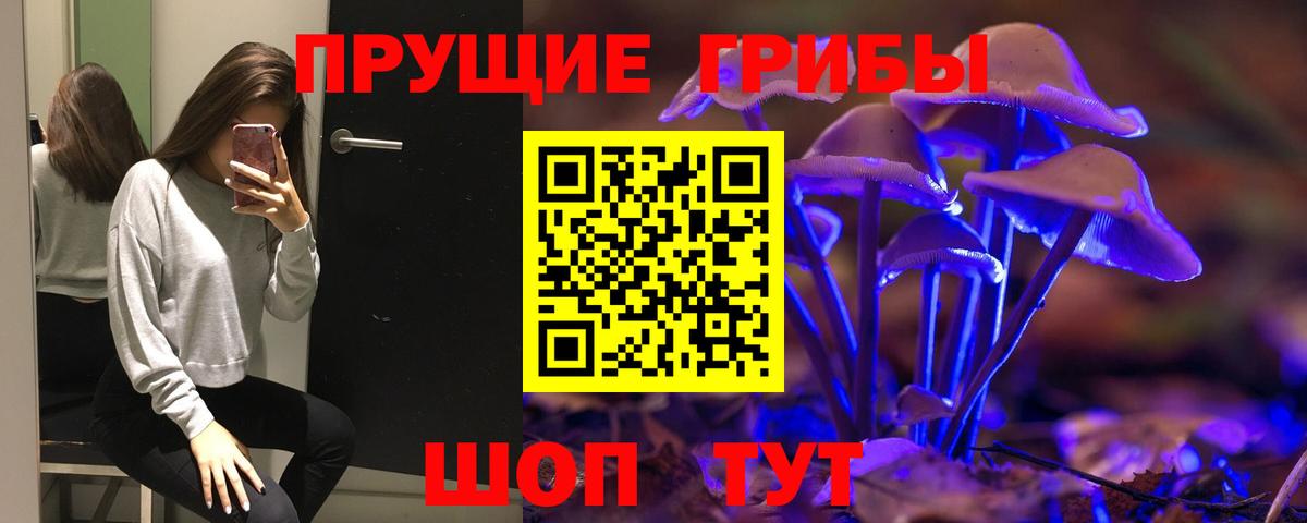 Псилоцибиновые грибы прущие грибы Северск